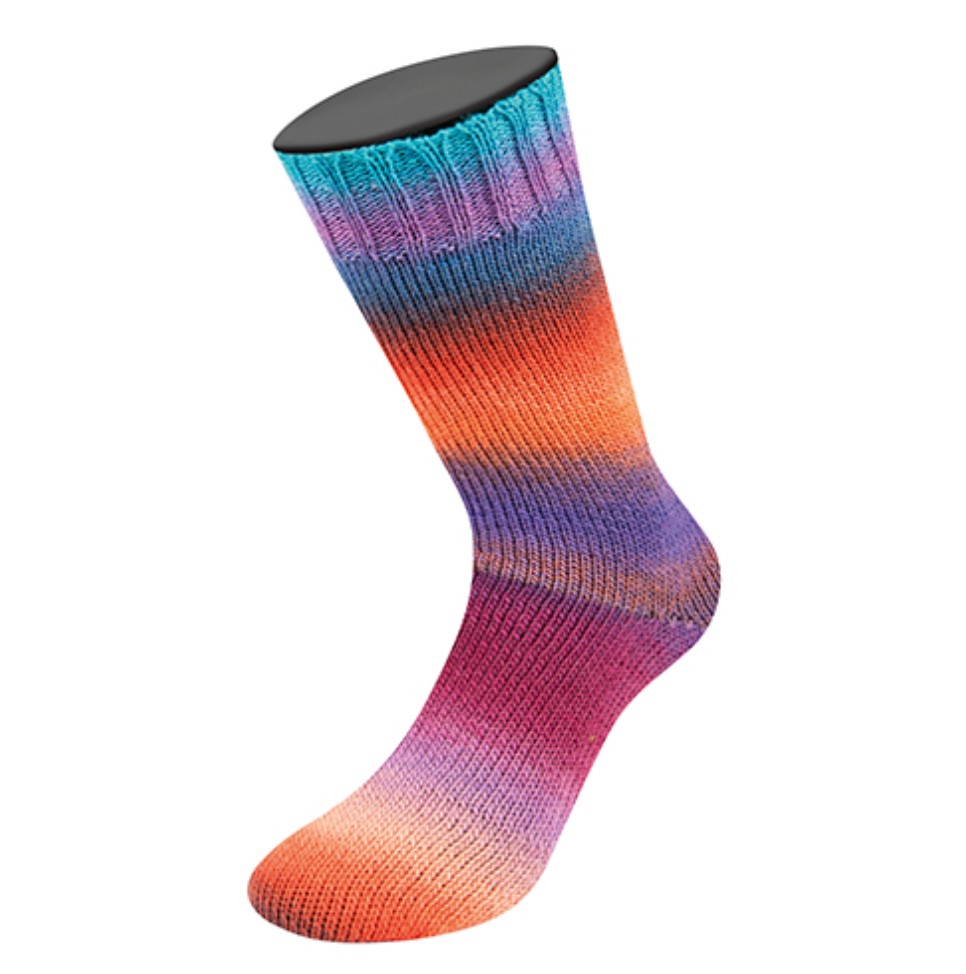 Meilenweit Sock Colour Mix Multi